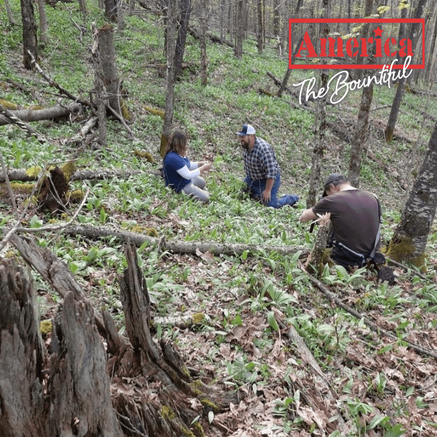 West Virginia: Foraging for Ramps Img